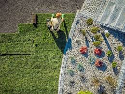 Merkez Park Peyzaj Düzenlemesi